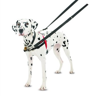 Halti harness front control zwart