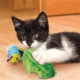 Kong flingaroo rups met blad met catnip