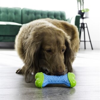 Kong corestrength bone