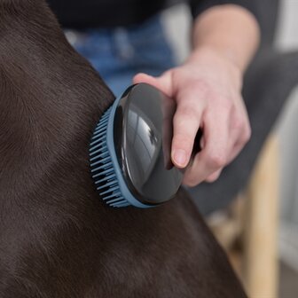 Trixie zachte borstel blauw