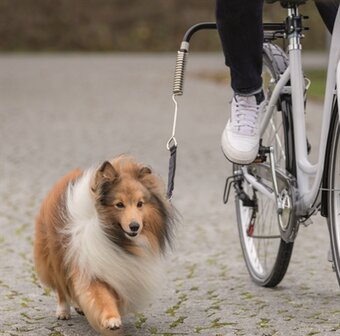 Trixie bikerset fietsbeugel springer