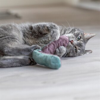 Trixie speelkussen rol met catnip assorti