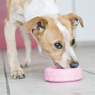 Kong puppy tires assorti