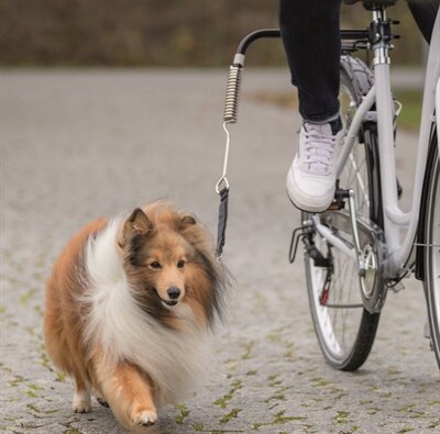 Trixie bikerset fietsbeugel springer