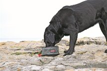Kong opvouwbare drink- / voerbak