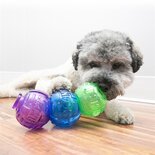 Kong lock-it