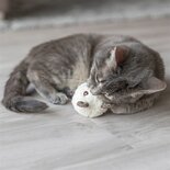 Trixie beer met catnip pluche assorti