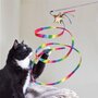 Kong teaser kattenhengel stellar