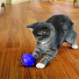 Kong kat treat dispensing voerbal