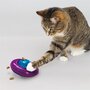 Kong cat infused gyro
