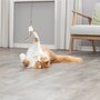 Trixie kattenhengel ster kunststof / pluche met catnip