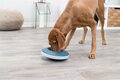 Trixie slowfeeding rocking bowl kunststof / tpr grijs / blauw