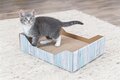 Trixie krabmand karton catnip turquoise