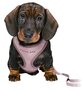 Trixie junior puppytuig soft met riem lila
