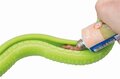 Trixie tpr snackslang groen