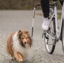 Trixie bikerset fietsbeugel springer