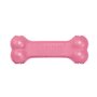 Kong puppy goodie bone roze of blauw assorti